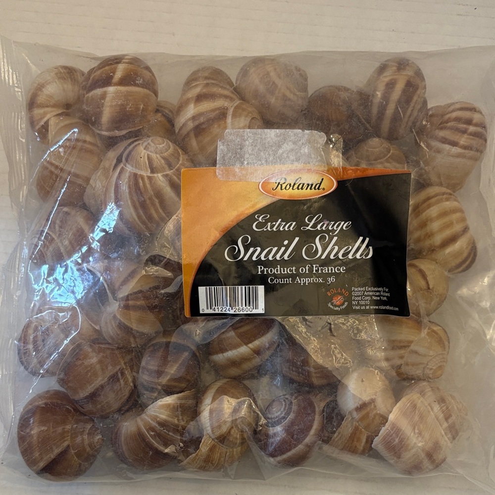 Roland Brown and Cream Striped Snail Shell Assortment